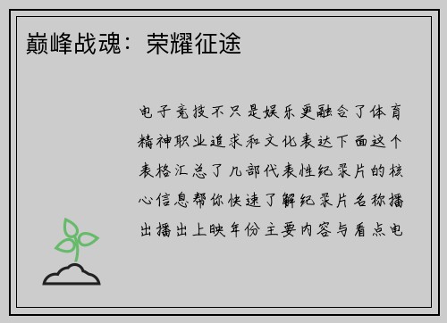 巅峰战魂：荣耀征途